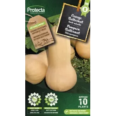 Courge musquée Butternut - Cat.B - Protecta à 3,65 € -  - SE-POT-00069 - Accueil