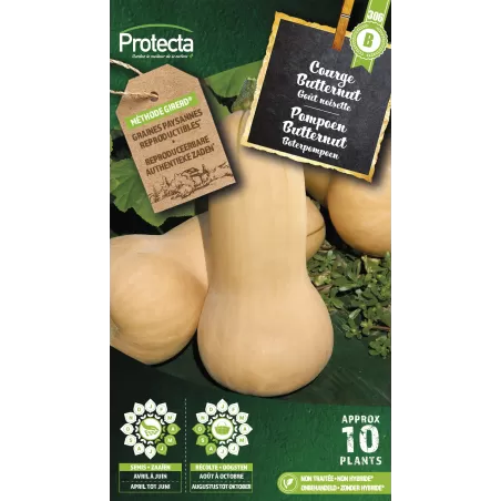 Courge musquée Butternut - Cat.B - Protecta à 3,65 € -  - SE-POT-00069 - Accueil