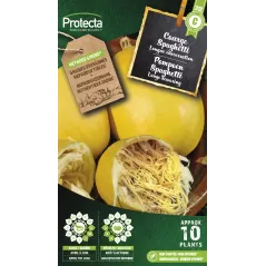 Courge Spaghetti - Cat. C - Protecta à 4,80 € -  - SE-POT-00155 - Accueil