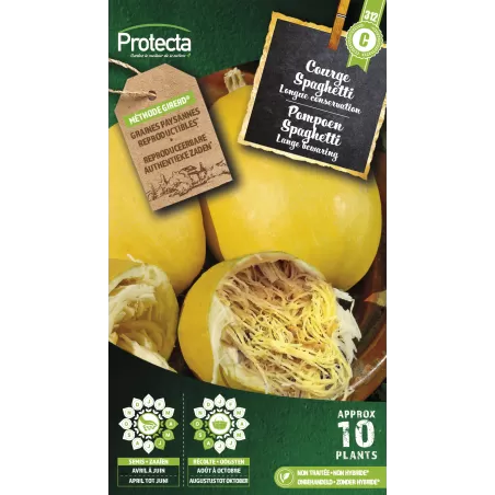 Courge Spaghetti - Cat. C - Protecta à 4,80 € -  - SE-POT-00155 - Accueil