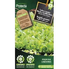 Laitue à couper Blonde à feuilles lisses - Cat. A - Protecta à 2,40 € -  - SE-POT-00104 - Accueil