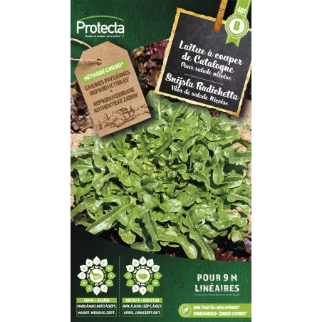 Laitue à couper Radichetta (Type Catalogne verte) - Cat. B - Protecta à 3,65 € -  - SE-POT-00105 - Accueil