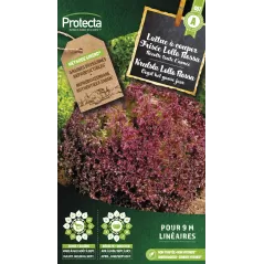 Laitue à couper frisée Lollo Rossa - Cat. A - Protecta à 2,40 € -  - SE-POT-00164 - Accueil