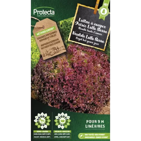 Laitue à couper frisée Lollo Rossa - Cat. A - Protecta à 2,40 € -  - SE-POT-00164 - Accueil