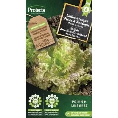 Laitue à couper frisée d'Amérique - Cat. A - Protecta à 2,40 € -  - SE-POT-00136 - Accueil