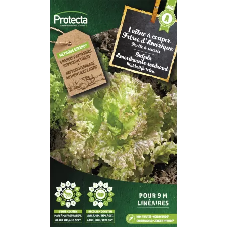 Laitue à couper frisée d'Amérique - Cat. A - Protecta à 2,40 € -  - SE-POT-00136 - Accueil