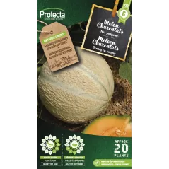 Melon Canteloup Charentais - Cat. C - Protecta à 4,80 € -  - SE-POT-00009 - Plantes, Buis & Légumes