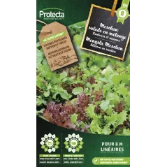 Mesclun salade en mélange - Cat. B - Protecta à 3,65 € -  - SE-POT-00010 - Plantes, Buis & Légumes