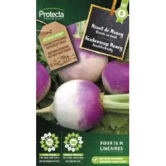 Navet de Nancy à feuille entière - Cat. B - Protecta à 3,65 € -  - SE-POT-00014 - Plantes, Buis & Légumes