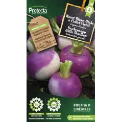 Navet Blanc Globe à Collet Violet - Cat. A - Protecta à 2,40 € -  - SE-POT-00011 - Plantes, Buis & Légumes