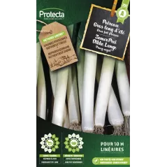 Poireau gros long d'été - Cat. - Protecta à 2,40 € -  - SE-POT-00057 - Plantes, Buis & Légumes