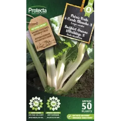 Poirée Verte à Carde Blanche 3 - Cat. A - Protecta à 2,40 € -  - SE-POT-00060 - Plantes, Buis & Légumes