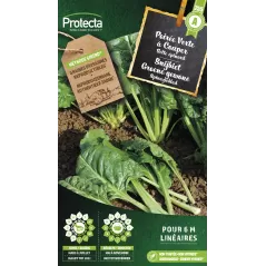 Poirée Verte à Couper "Bette Epinard" - Cat. A - Protecta à 2,40 € -  - SE-POT-00061 - Plantes, Buis & Légumes