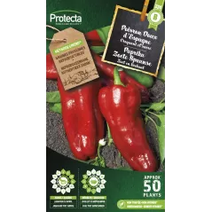 Poivron Doux d'Espagne - Cat. B - Protecta à 3,64 € -  - SE-POT-00078 - Plantes, Buis & Légumes