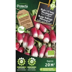 Radis 1/2 long Flamboyant FR-BIO-15 Cat. B - Protecta à 3,65 € -  - SE-POT-00210 - Plantes, Buis & Légumes