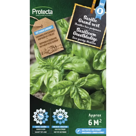 Basilic Grand vert - Cat. B - Protecta à 3,65 € -  - SE-CON-00003 - Plantes, Buis & Légumes