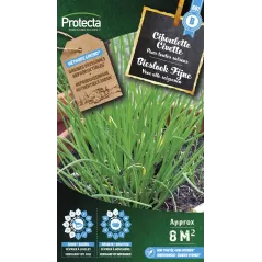 Ciboulette - Cat. B - Protecta à 3,65 € -  - SE-CON-00008 - Plantes, Buis & Légumes