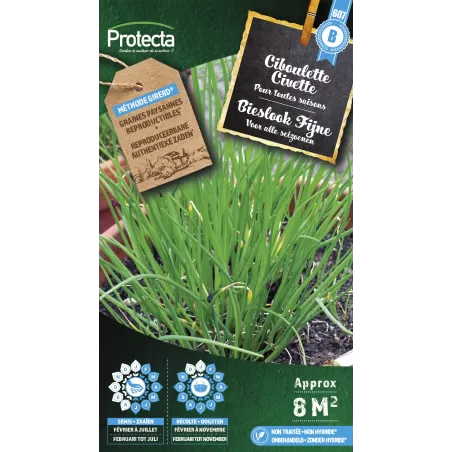 Ciboulette - Cat. B - Protecta à 3,65 € -  - SE-CON-00008 - Plantes, Buis & Légumes