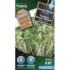 Cresson Alenois - Cat . A - Protecta à 2,40 € -  - SE-CON-00012 - Plantes, Buis & Légumes