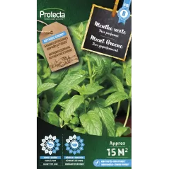 Menthe verte - Cat. B - Protecta à 3,65 € -  - SE-CON-00016 - Plantes, Buis & Légumes