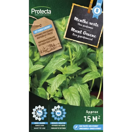 Menthe verte - Cat. B - Protecta à 3,65 € -  - SE-CON-00016 - Plantes, Buis & Légumes