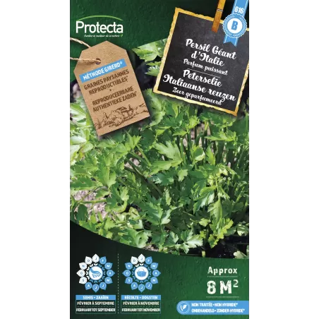 Persil Géant d'Italie - Cat. B - Protecta à 3,65 € -  - SE-CON-00017 - Plantes, Buis & Légumes