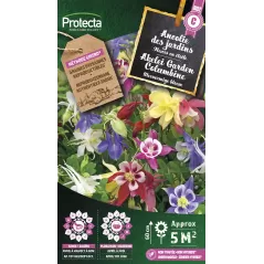 Ancolie des jardins double - Cat. C - Protecta