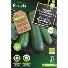 Courgette Verte de Milan FR-BIO-15 XXL - Cat. C - Protecta à 4,80 € -  - SE-POT-00179 - Plantes, Buis & Légumes