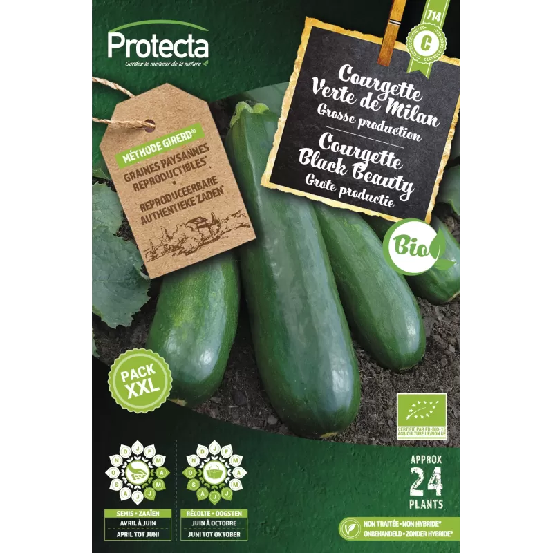 Courgette Verte de Milan FR-BIO-15 XXL - Cat. C - Protecta