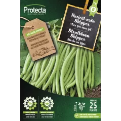 Haricot nain Skipper 35 g - Cat. D - Protecta à 5,90 € -  - SE-POT-00181 - Plantes, Buis & Légumes