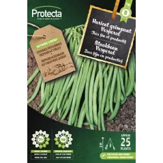 Haricot grimpant Vesperal 25 g - Cat. D - Protecta à 5,90 € -  - SE-POT-00225 - Plantes, Buis & Légumes