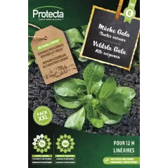 Mâche de toutes saisons Gala XXL - Cat. C - Protecta à 4,80 € -  - SE-POT-00173 - Plantes, Buis & Légumes