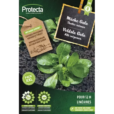 Mâche de toutes saisons Gala XXL - Cat. C - Protecta à 4,80 € -  - SE-POT-00173 - Plantes, Buis & Légumes