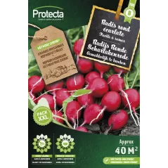 Radis Rond écarlate XXL - Cat. B - Protecta à 3,65 € -  - SE-POT-00176 - Plantes, Buis & Légumes