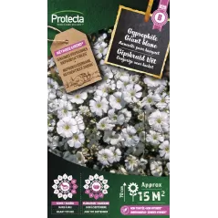 Gypsophile Géant blanc - Cat. B - Protecta à 3,65 € -  - SE-CON-00073 - Plantes, Buis & Légumes