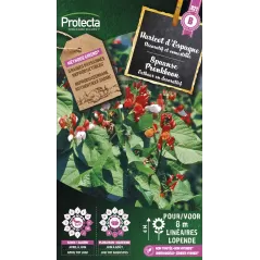 Haricot d'Espagne - Cat. B - Protecta à 3,65 € -  - SE-CON-00074 - Plantes, Buis & Légumes