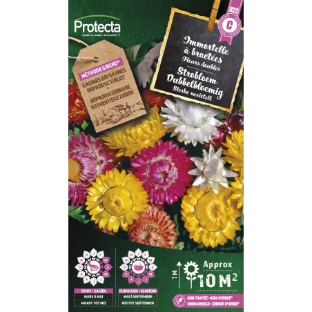 Immortelle à bractées - Cat. C - Protecta à 4,80 € -  - SE-CON-00075 - Plantes, Buis & Légumes