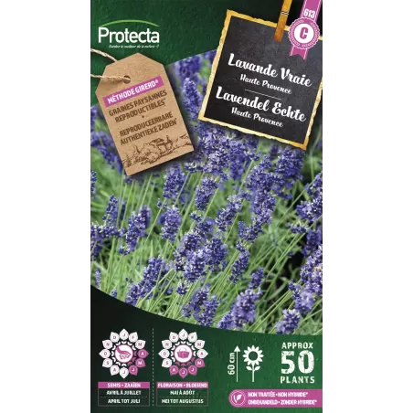 Lavande Vraie - Cat. C - Protecta à 4,80 € -  - SE-CON-00014 - Plantes, Buis & Légumes