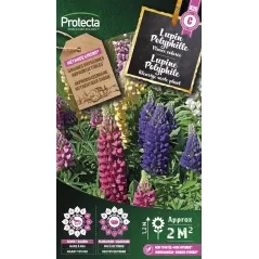 Lupin Vivace Polyphille - Cat. C - Protecta à 4,80 € -  - SE-CON-00079 - Plantes, Buis & Légumes