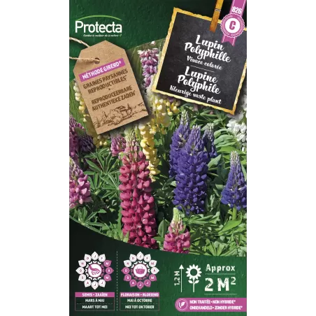 Lupin Vivace Polyphille - Cat. C - Protecta à 4,80 € -  - SE-CON-00079 - Plantes, Buis & Légumes