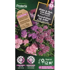 Oeillet de Poète nain double Bouquet tout Fait - Cat. C - Protecta à 4,80 € -  - SE-CON-00085 - Plantes, Buis & Légumes