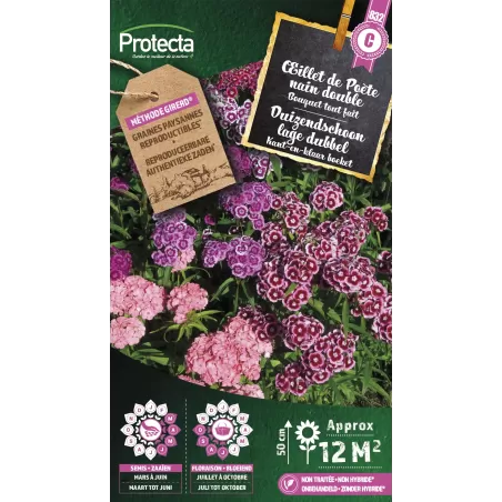 Oeillet de Poète nain double Bouquet tout Fait - Cat. C - Protecta à 4,80 € -  - SE-CON-00085 - Plantes, Buis & Légumes