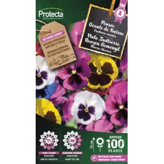 Pensée géante de Suisse en mélange - Cat. A - Protecta à 2,40 € -  - SE-CON-00033 - Plantes, Buis & Légumes