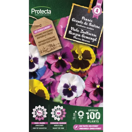 Pensée géante de Suisse en mélange - Cat. A - Protecta à 2,40 € -  - SE-CON-00033 - Plantes, Buis & Légumes