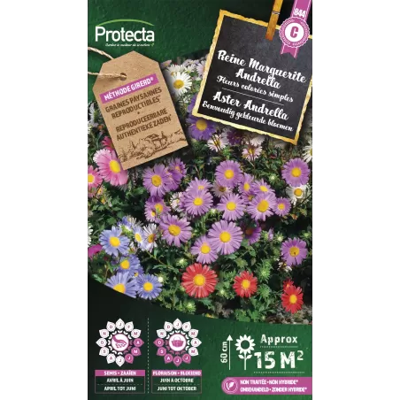 Reine marguerite simple Andrella - Cat. C - Protecta à 4,80 € -  - SE-CON-00095 - Plantes, Buis & Légumes