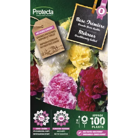 Rose Tremière double grande variée - Cat. B - Protecta à 3,65 € -  - SE-CON-00034 - Plantes, Buis & Légumes