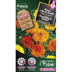 Souci Double en mélange - Cat. B - Protecta à 3,65 € -  - SE-CON-00029 - Plantes, Buis & Légumes