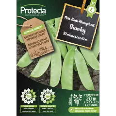 Pois Nain Mangetout BAMBY  - Cat. E - Protecta