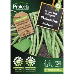 Haricot Vert Grimpant PHENOMENE - Cat. D - Protecta