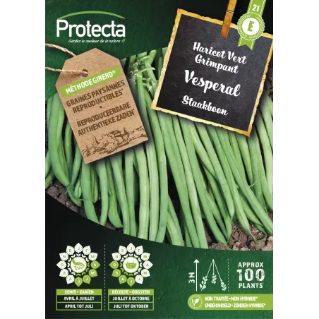 Haricot Vert Grimpant VESPERAL  - Cat. E - Protecta